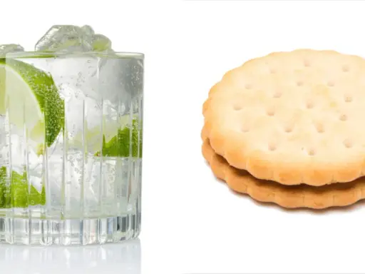 Erfrischender Gin Tonic mit Limette und Eis, daneben zwei Kekse. Denken Sie an die Gin Tonic Kalorien!