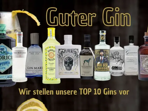 Eine Auswahl von zehn Flaschen Guter Gin, darunter Hendrick's Neptunia und Monkey 47, präsentiert die TOP 10 Gins.