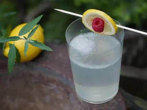 Erfrischender Drink mit Zitrone und Himbeere, serviert mit einem Hauch von old tom gin.