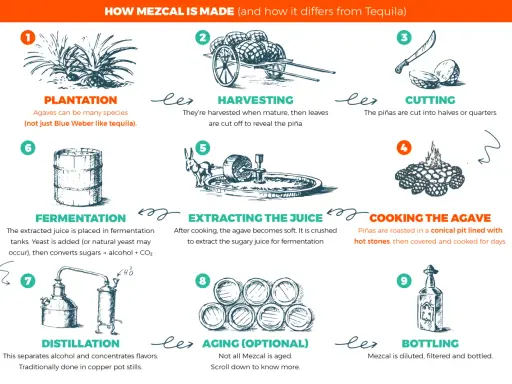 Schritte der Mezcal Herstellung: Anbau, Ernte, Schneiden, Kochen, Zerkleinern, Gärung, Destillation, optional Reifung und Abfüllung.