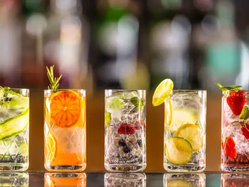 Fünf erfrischende Drinks mit Früchten und Kräutern. Einer davon könnte Chinin enthalten, wie in Tonic Water, wo ist Chinin drin?