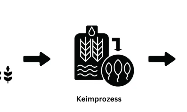 Schritte der Whisky Herstellung: Ernte, Keimprozess und Mälzen/Darren.