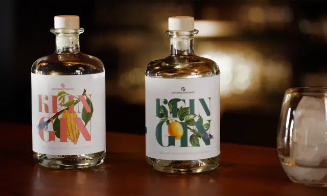 Zwei Flaschen "Rein Gin" mit Holzkorken stehen bereit zur **Gin Aufbewahrung**. Daneben ein Glas mit Eiswürfeln.