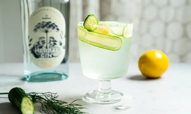 Erfrischender Gin Tonic mit Gurke und Zitrone, daneben eine Flasche Gin und frische Zutaten.