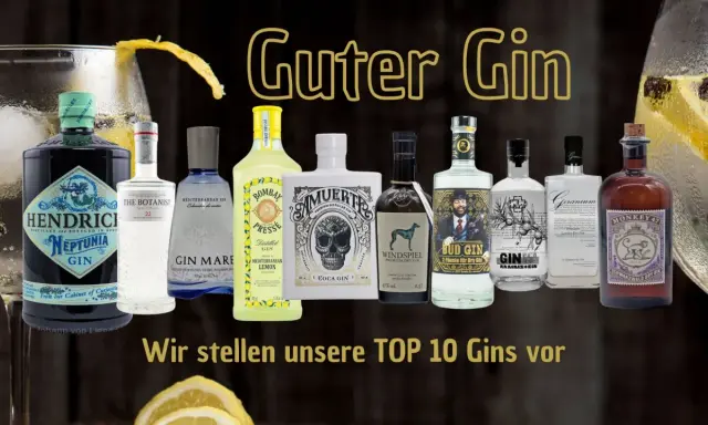 Eine Auswahl von zehn Flaschen Guter Gin, darunter Hendrick's Neptunia und Monkey 47, präsentiert die TOP 10 Gins.