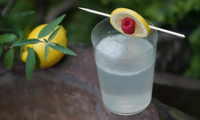 Erfrischender Drink mit Zitrone und Himbeere, serviert mit einem Hauch von old tom gin.