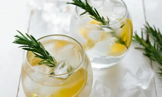 Zwei Gläser mit Eis, Zitrone und Rosmarin – ein guter Gin Tonic für heiße Tage.