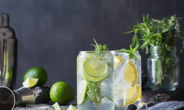 Erfrischende Drinks mit Limette und Zitrone. Kann Tonic Water schlecht werden? Ja, aber diese sehen noch frisch aus!