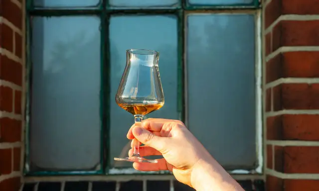 Hand hält ein Glas bernsteinfarbenen Whiskys vor einem Fenster. Der Alkoholgehalt variiert, aber oft liegt er bei 40 Prozent.