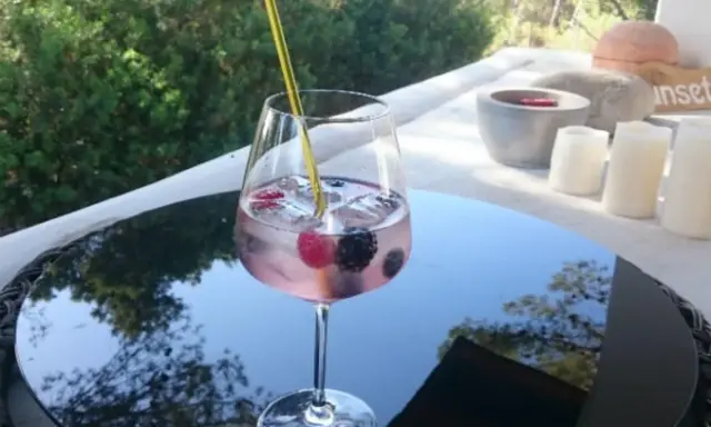 Ein erfrischender Gin Tonic mit Brockmans Gin und Beeren. Welches Tonic passt am besten?