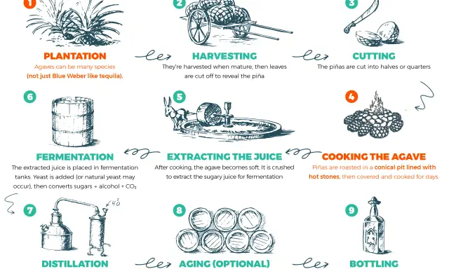 Schritte der Mezcal Herstellung: Anbau, Ernte, Schneiden, Kochen, Zerkleinern, Gärung, Destillation, optional Reifung und Abfüllung.