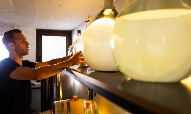 Mann prüft große Glasballons mit Flüssigkeit. Er achtet darauf, dass der Inhalt nicht schlecht wird, wie bei manchem Gin.