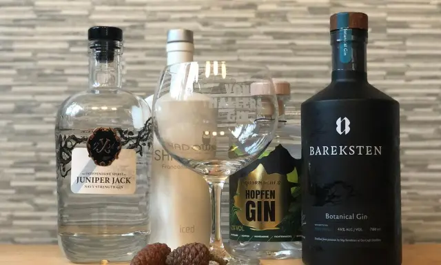 Gin-Flaschen, ein Glas und Zapfen. Der **Wacholder Geschmack** ist bei diesen Gins zentral.