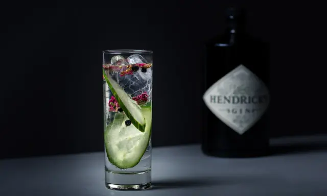 Ein erfrischender Gin-Cocktail mit Gurkenscheiben und Beeren. Die Botanicals machen den Geschmack aus.