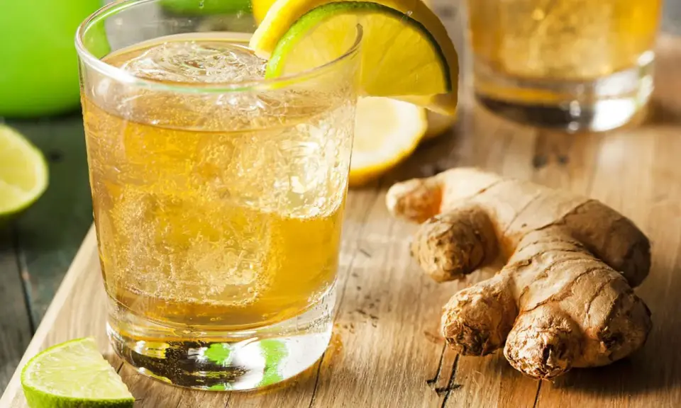 Erfrischendes Getränk mit Eis, Zitrone und Limette. Perfekt für alle, die **Ginger Beer selber machen** wollen.