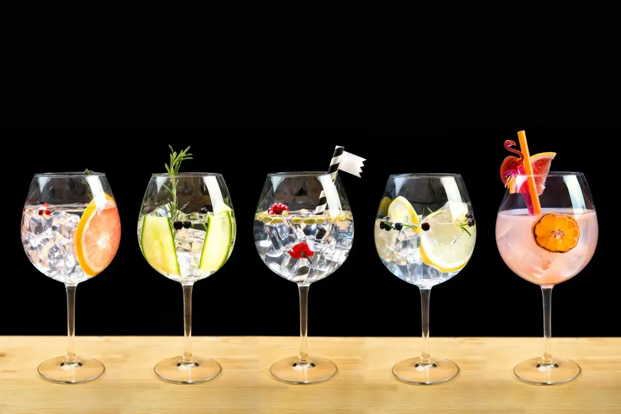 F&uuml;nf elegante Gl&auml;ser mit Eis, Fr&uuml;chten und Kr&auml;utern &ndash; jeder ein guter Gin Tonic, bereit zum Genie&szlig;en.