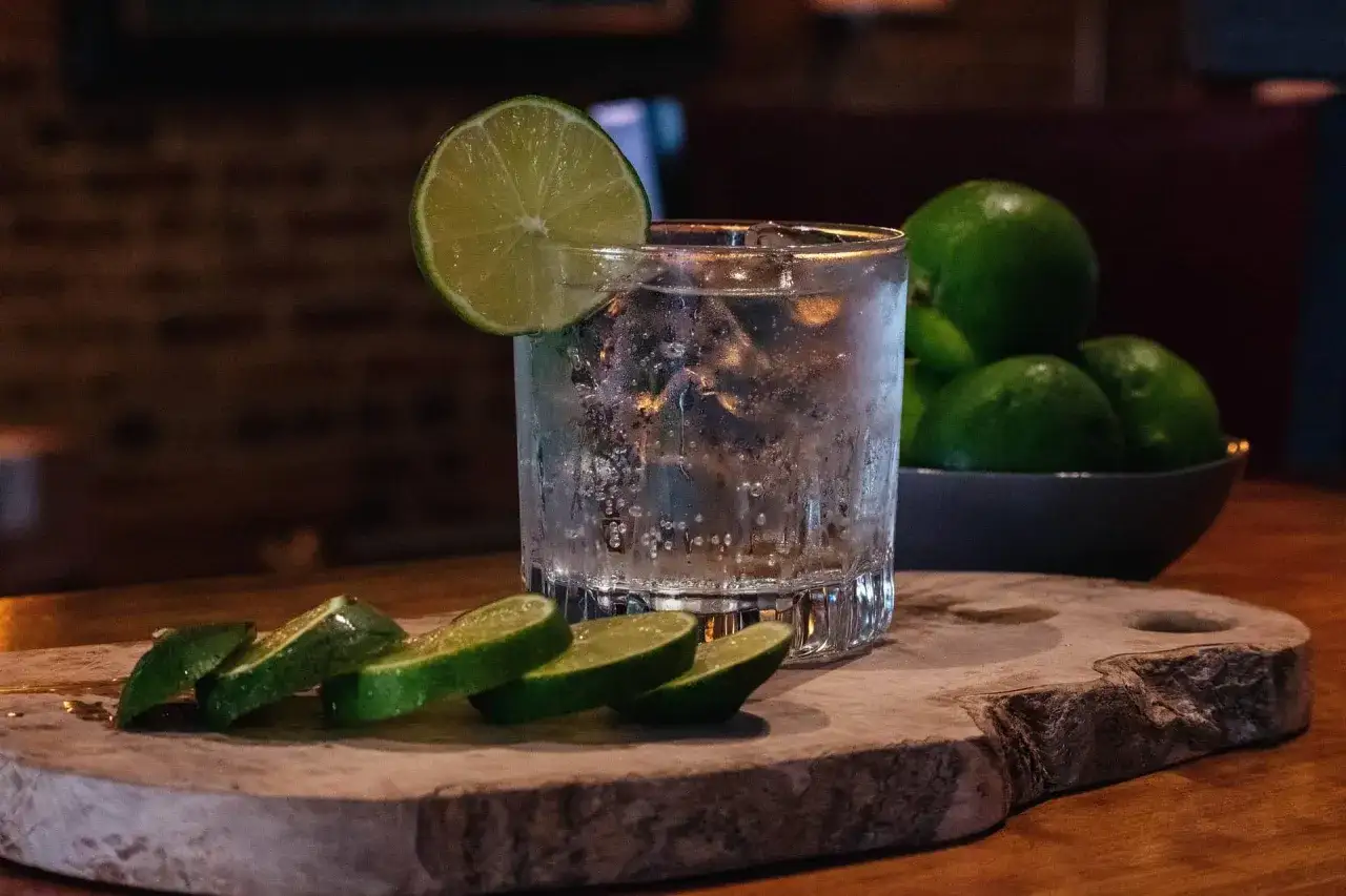 Erfrischender Sloe Gin Tonic mit Eis, Limettenspalten und einer Limettenscheibe am Glasrand.