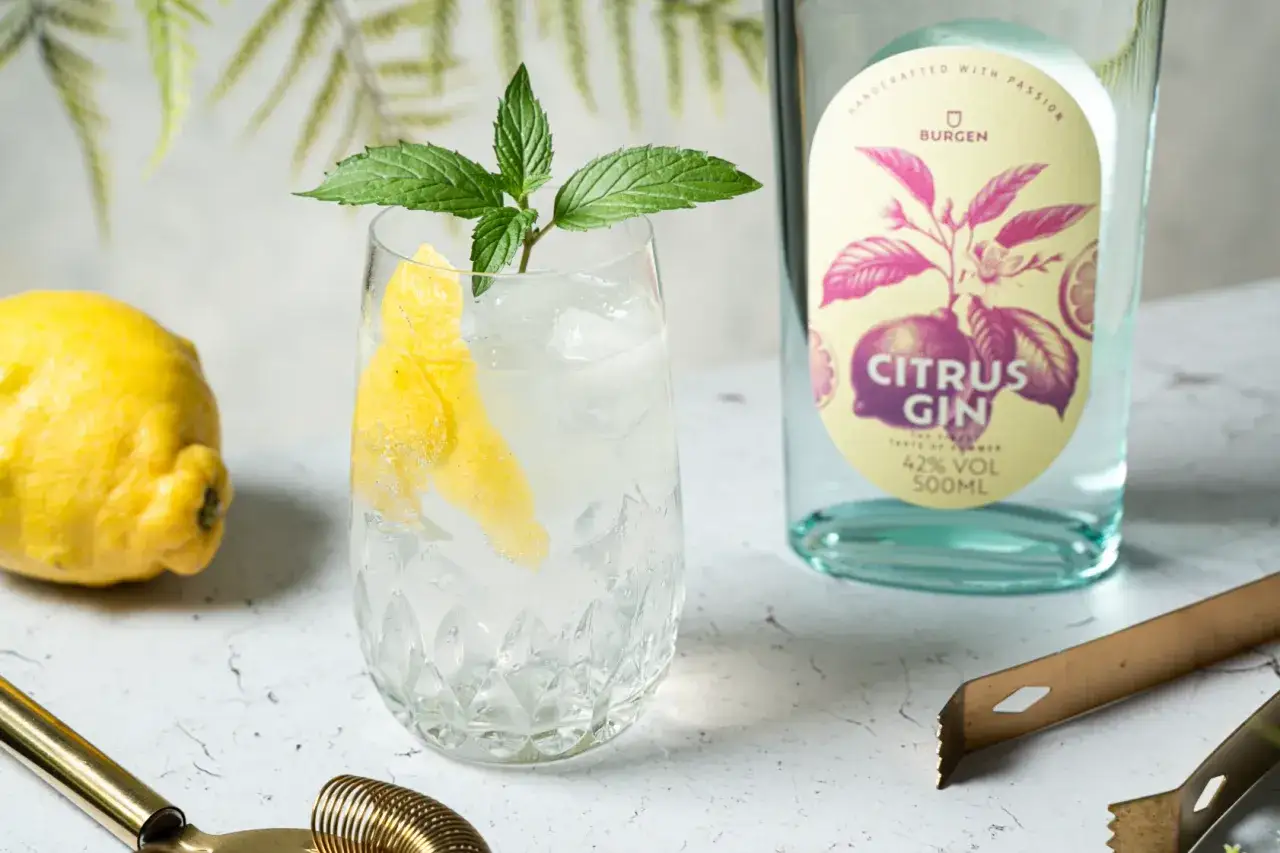 Erfrischender Gin Tonic mit Zitrone und Minze. So trinkt man Gin: Eiswürfel, Gin, Filler und Garnitur.