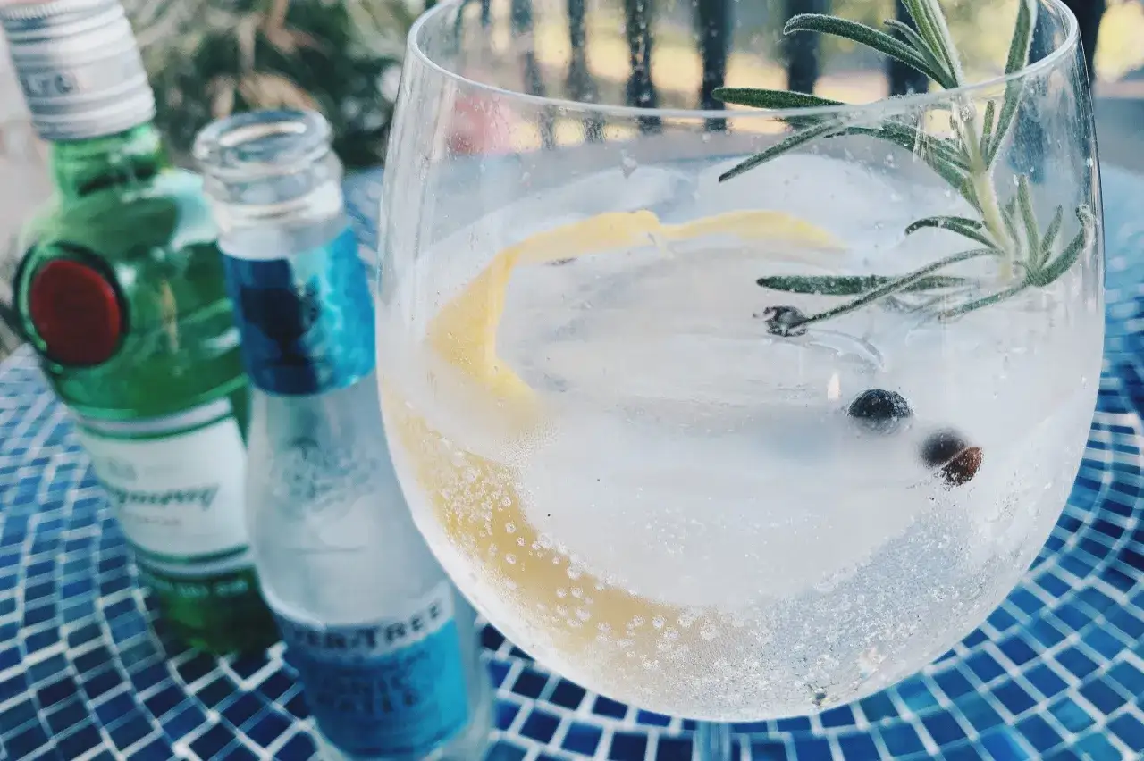 Erfrischender Gin Tonic mit Zitrone, Rosmarin und Wacholderbeeren. Die perfekte Gin Tonic Garnitur für einen lauen Sommerabend.