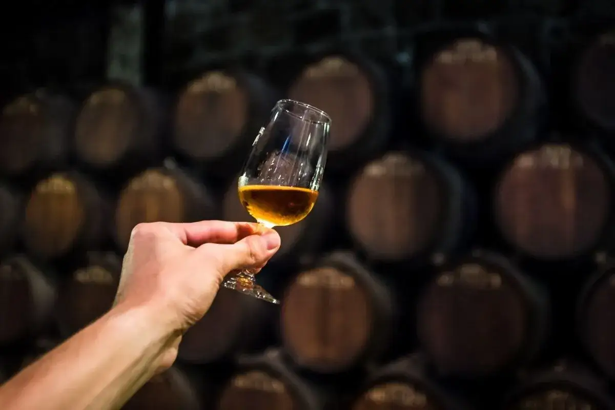 Hand hält Glas mit Cognac vor Fässern. Die Frage, ob kann Cognac schlecht werden, beschäftigt Genießer.