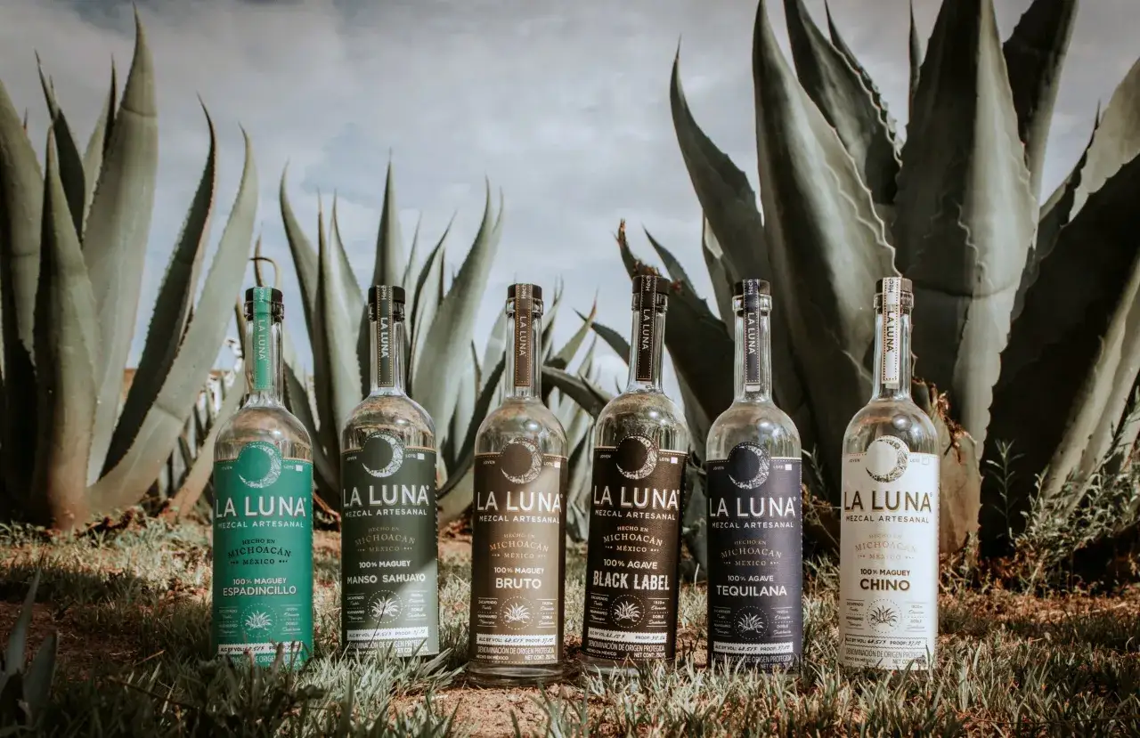 Sechs Flaschen La Luna Mezcal Artesanal stehen vor Agavenpflanzen. Ein Vergleich von Mezcal vs. Tequila wird durch die Vielfalt der Flaschen angedeutet.