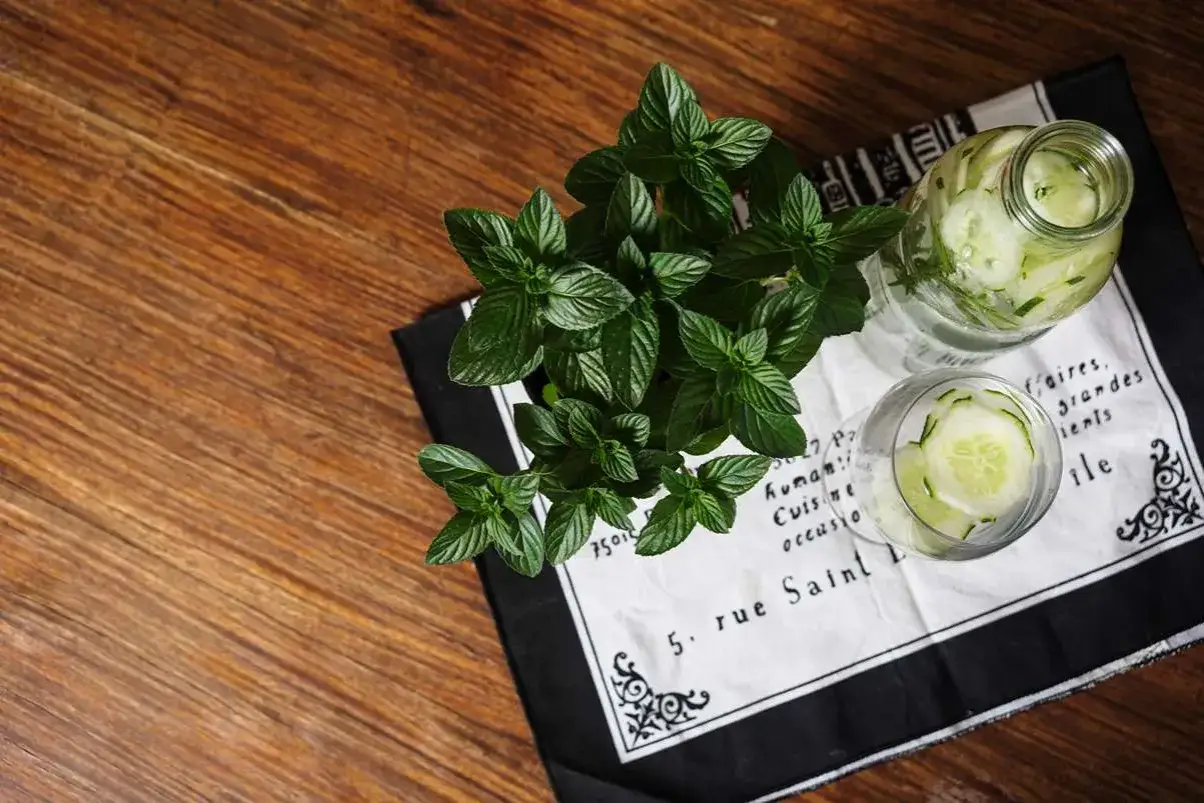Frische Minze und Gurkenscheiben – perfekte gin zutaten für einen erfrischenden Drink.
