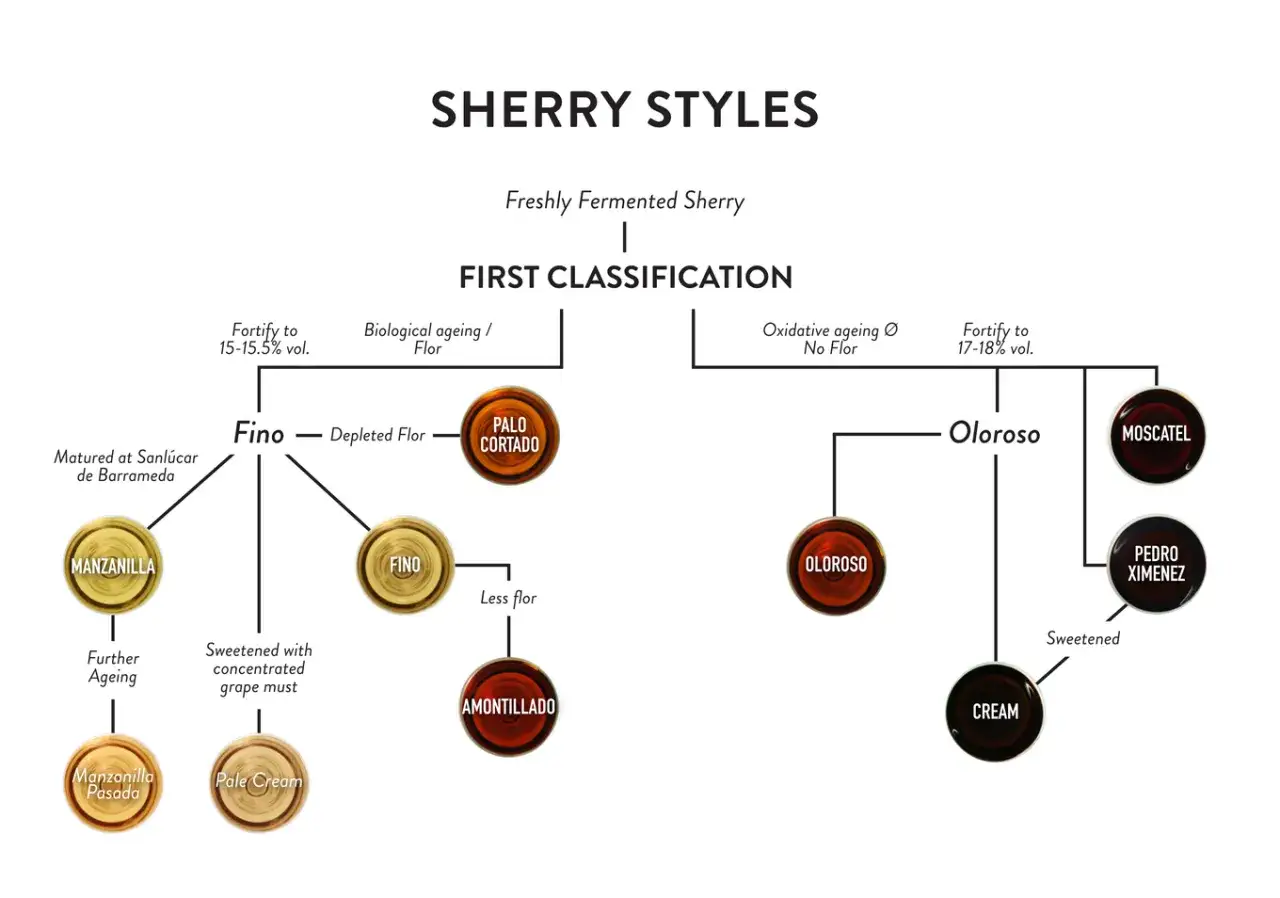 &Uuml;bersicht der Sherry-Stile: Fino, Manzanilla, Palo Cortado, Amontillado, Oloroso, Cream, Moscatel, Pedro Ximenez. Ein Sherry-Test f&uuml;r Kenner.