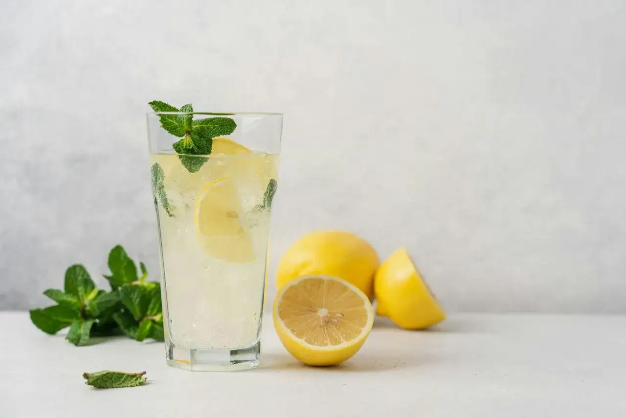 Erfrischendes Zitronen-Minz-Getr&auml;nk mit Eis, Zitronenscheiben und Minze. Eine tolle Gin Tonic Alternative f&uuml;r hei&szlig;e Tage.