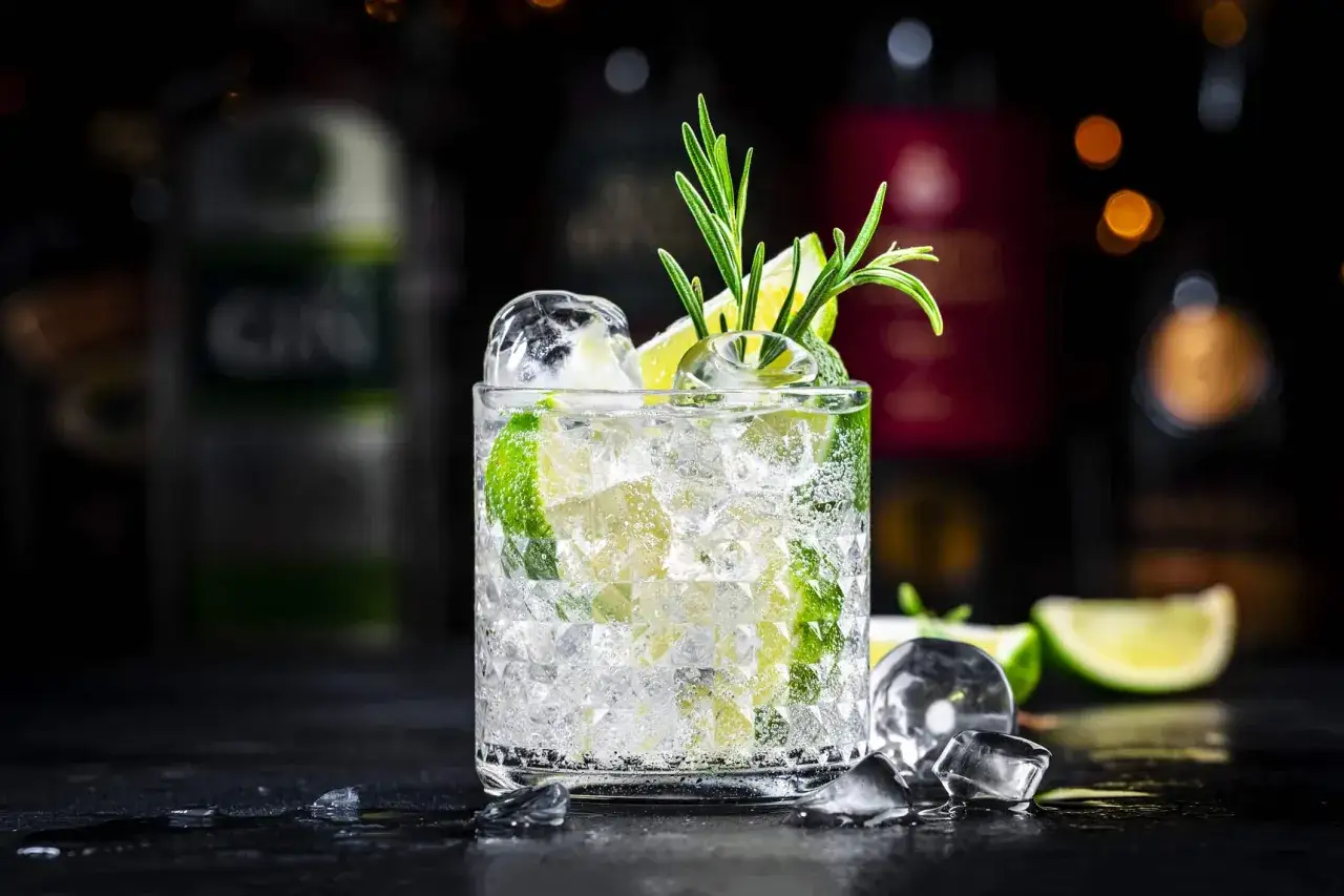 Erfrischender Gin Tonic mit viel Eis, Limettenscheiben und Rosmarin. Perfekt für einen lauen Abend.