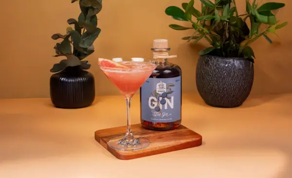 Ein Glas mit pinkfarbenem Gin-Cocktail, garniert mit Grapefruit, neben einer Flasche Sloe Gin. Dekorative Pflanzen im Hintergrund.