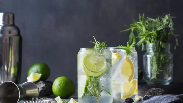 Erfrischende Drinks mit Limette und Zitrone. Kann Tonic Water schlecht werden? Ja, aber diese sehen noch frisch aus!